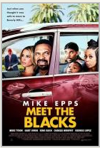 Знакомьтесь, семейка Блэков / Meet the Blacks (2016)